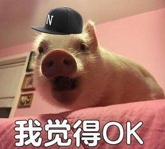 命理八字有精神病会终生
