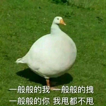 命理八字有精神病会终生