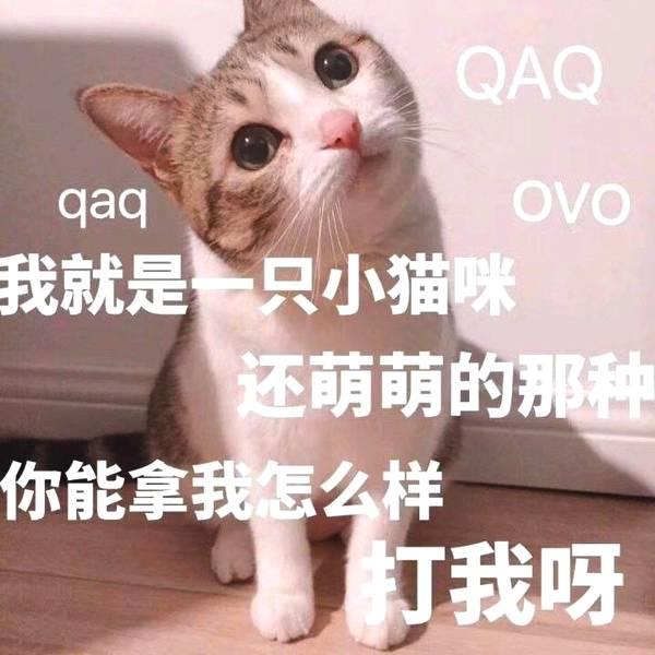 命理八字有精神病会终生