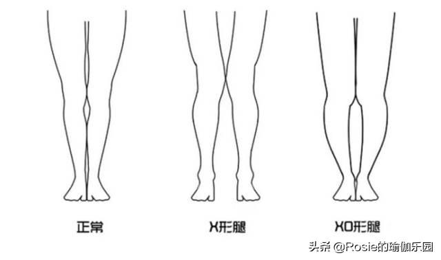 闫妮八字分析 闫妮八字分析