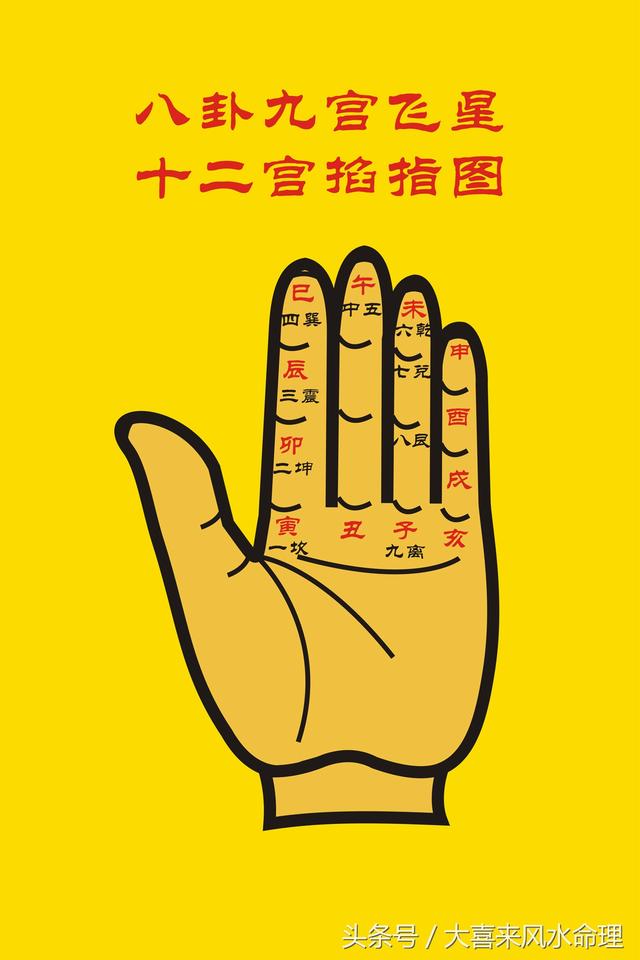 生年八字与五行查询