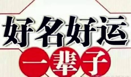 猪年批八字起名字免费