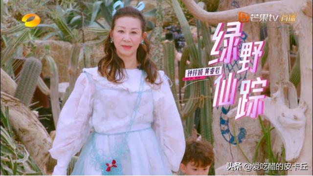 李颖八字 李颖八字