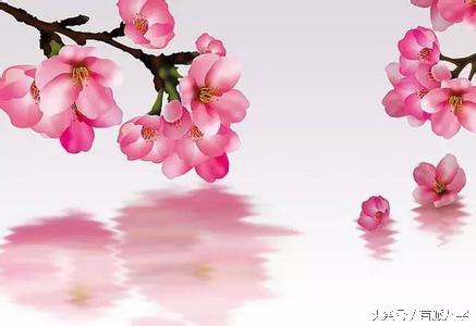 命中八字带桃花