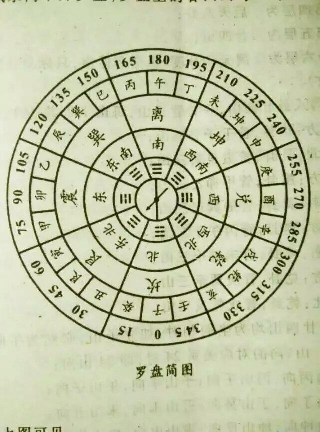 八字的胞胎是什么意思
