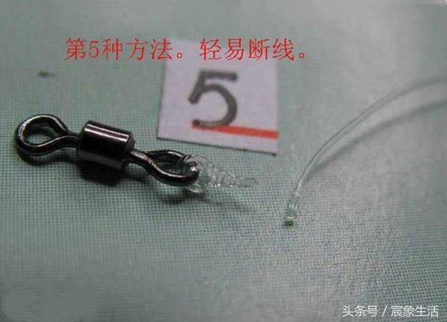 邦八字环图片