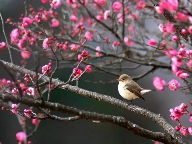 婚姻生离死别的八字