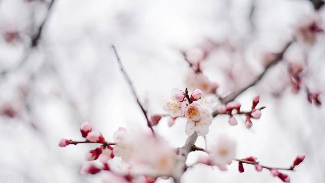 唐绮阳2022水瓶座运势视频 唐绮阳2022水瓶座运势视频