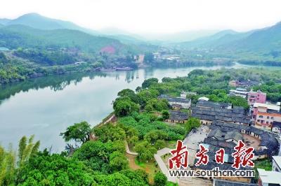 八字枯木新芽得所依什么意思