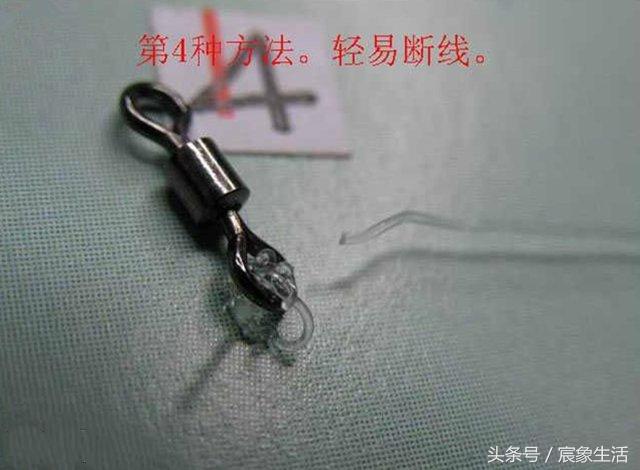 邦八字环图片