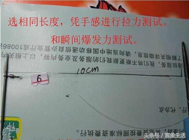 邦八字环图片