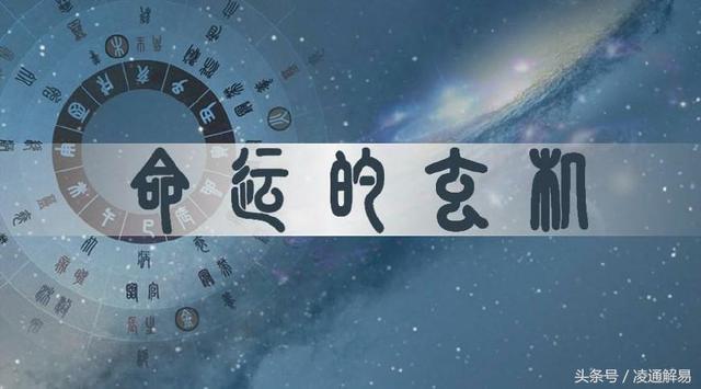 生日密码八字排盘