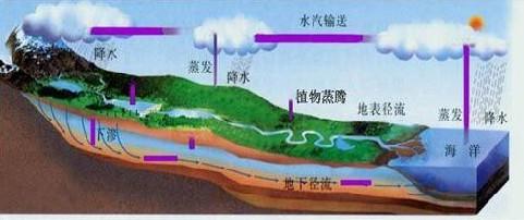 八字阴金和阳金区别