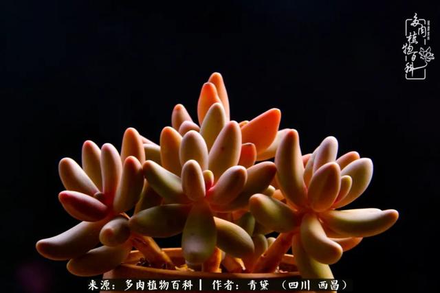 八字在线测试相克