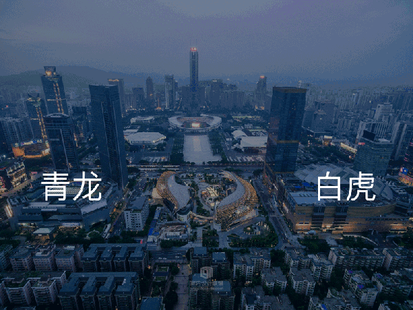 香港政坛八字 香港政坛八字