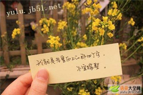 赞美感谢老师的八字