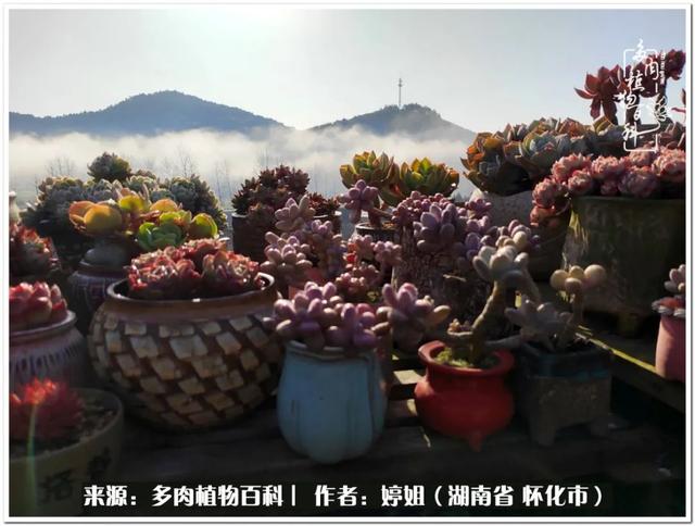 2020年三月好的八字 2020年三月好的八字