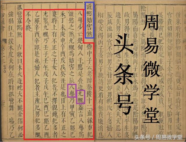 八字神煞在线查询新闻