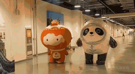 网上排八字官方网站