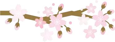 紫薇八字看另一半财富