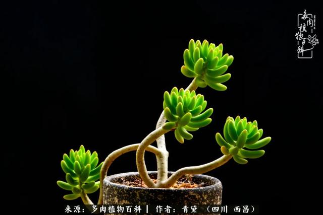 八字在线测试相克