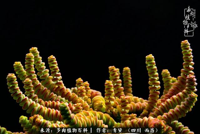 八字在线测试相克