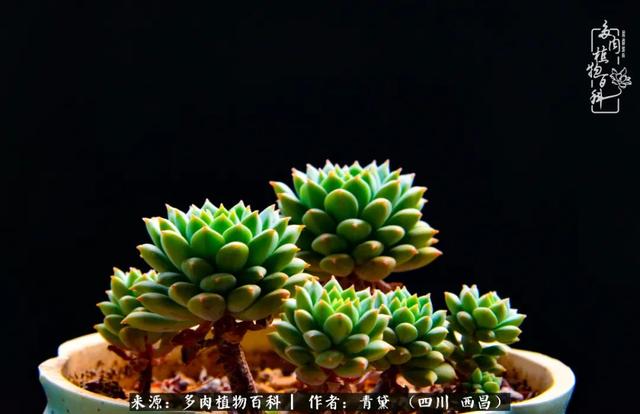八字在线测试相克