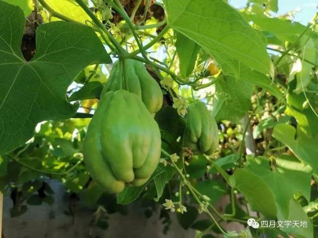 以一开头的八字网名 以一开头的八字网名