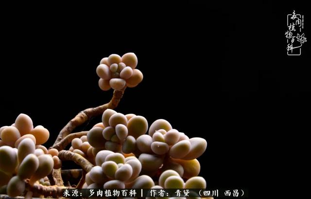 八字在线测试相克