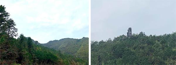 言明盲派八字命理视频