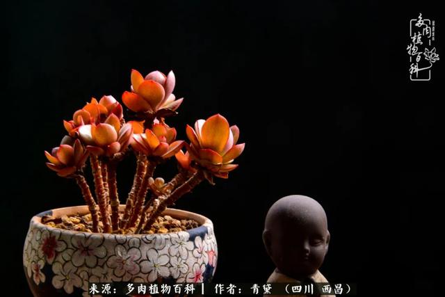 八字在线测试相克
