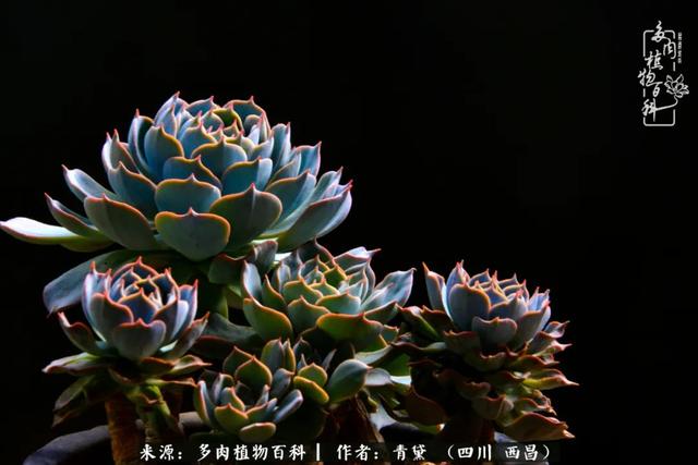 八字在线测试相克