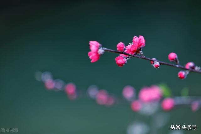 生辰八字小说免费在线阅读