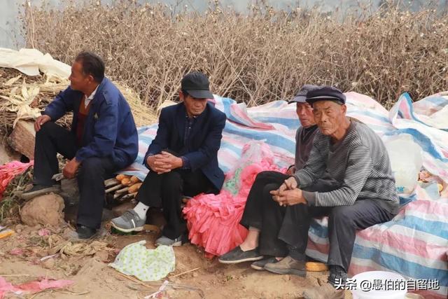 生辰八字测算婚期软件 生辰八字测算婚期软件