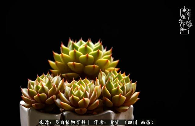 八字在线测试相克