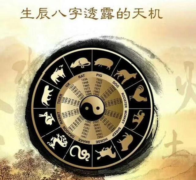能从事周易行业的八字有啥星
