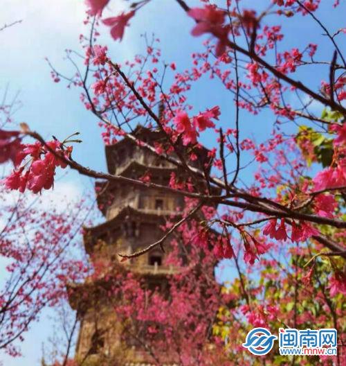 八字短句个性签名励志 八字短句个性签名励志