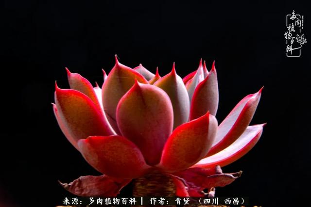 八字在线测试相克
