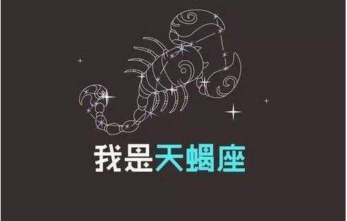 小乖麻2022年天蝎星座运势