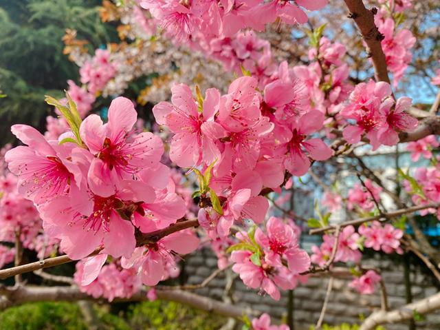 一九四一年六月十二生辰八字 一九四一年六月十二生辰八字