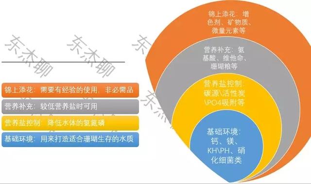 八字脑可以喂虾肉吗 八字脑可以喂虾肉吗