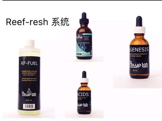 八字脑可以喂虾肉吗 八字脑可以喂虾肉吗
