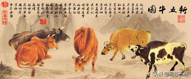八字丑代表的行业 八字丑代表的行业