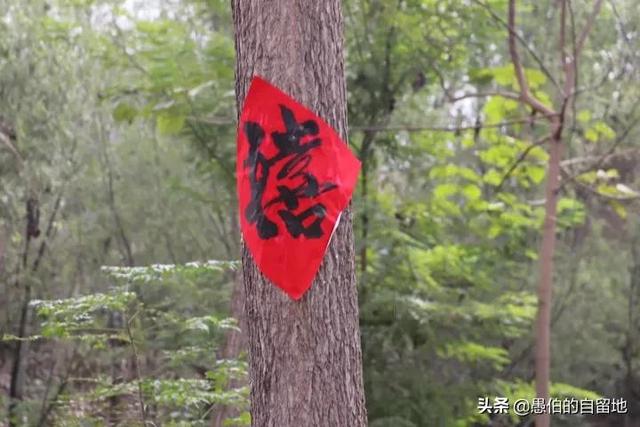 生辰八字测算婚期软件 生辰八字测算婚期软件