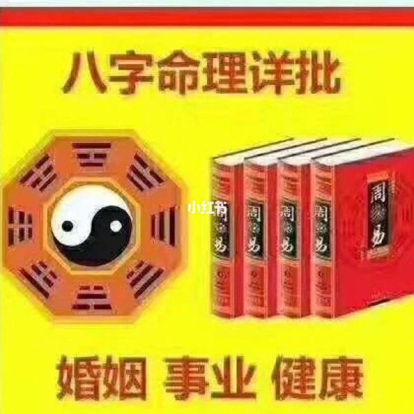 八字木属性做什么行业