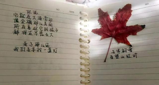 知乎八字流年 知乎八字流年