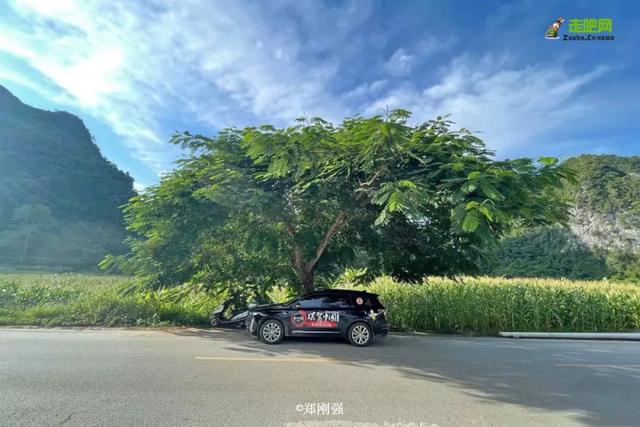 自在道人重组八字理论