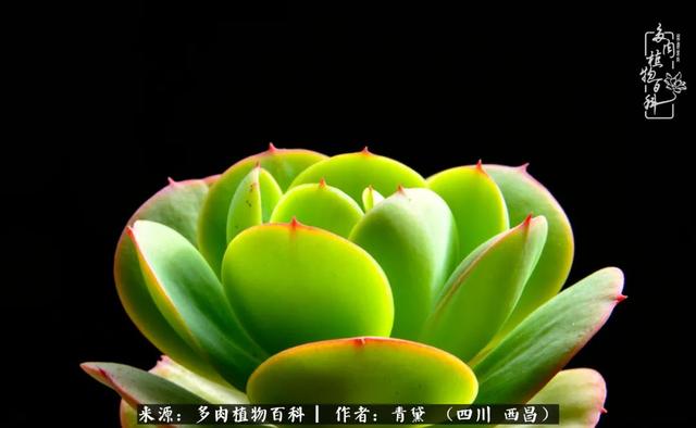 八字在线测试相克