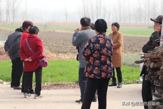 生辰八字测算婚期软件 生辰八字测算婚期软件