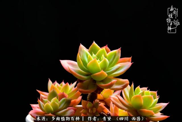 八字在线测试相克